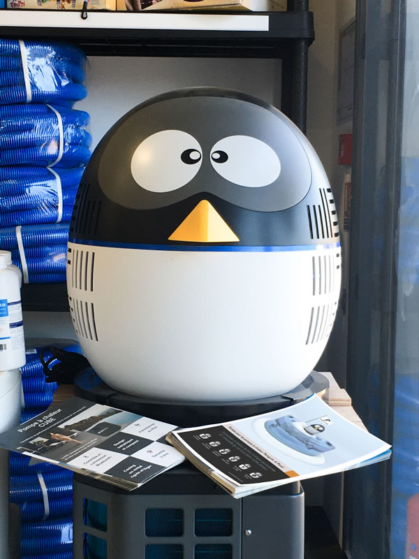 Penguin4Pool Gallery Photo 14