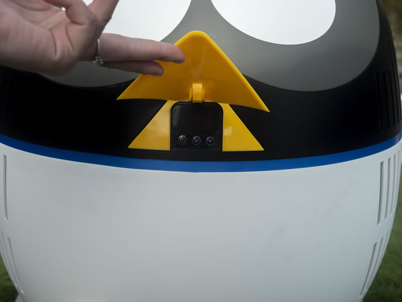 Penguin4Pool Gallery Photo 9