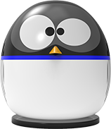 Penguin4Pool vue de face